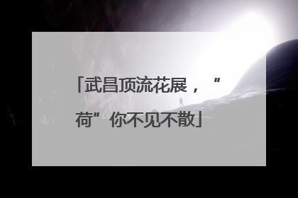 武昌顶流花展，“荷”你不见不散