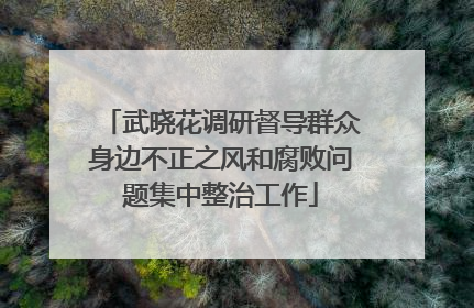 武晓花调研督导群众身边不正之风和腐败问题集中整治工作