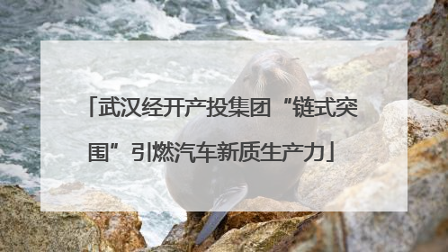 武汉经开产投集团“链式突围”引燃汽车新质生产力
