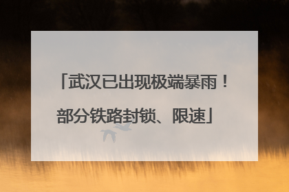 武汉已出现极端暴雨！部分铁路封锁、限速