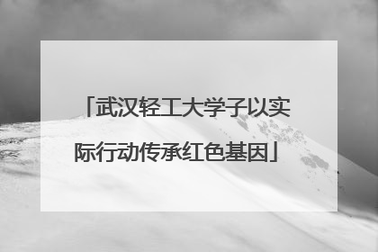 武汉轻工大学子以实际行动传承红色基因