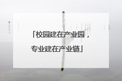 校园建在产业园，专业建在产业链