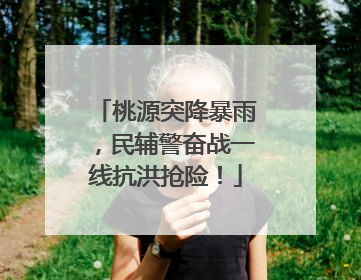 桃源突降暴雨，民辅警奋战一线抗洪抢险！