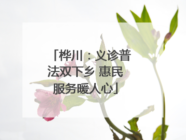 桦川：义诊普法双下乡 惠民服务暖人心