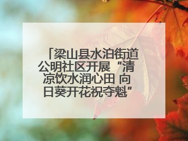 梁山县水泊街道公明社区开展“清凉饮水润心田 向日葵开花祝夺魁”助考活动
