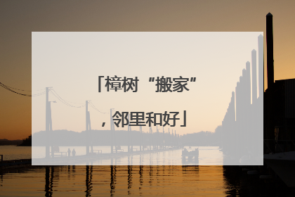 樟树“搬家”，邻里和好