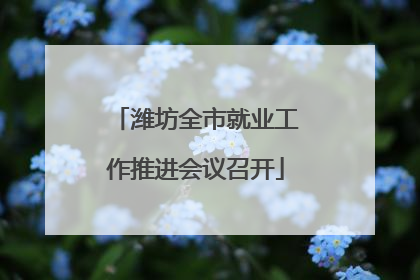 潍坊全市就业工作推进会议召开