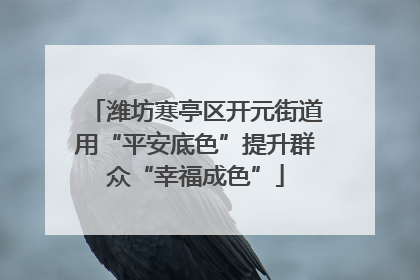 潍坊寒亭区开元街道用“平安底色”提升群众“幸福成色”