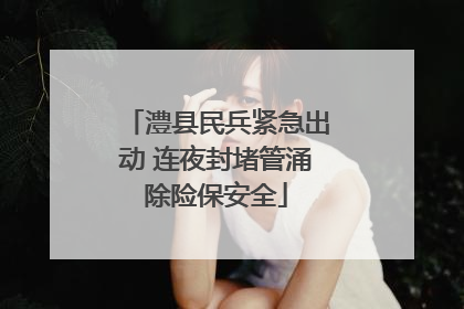 澧县民兵紧急出动 连夜封堵管涌除险保安全