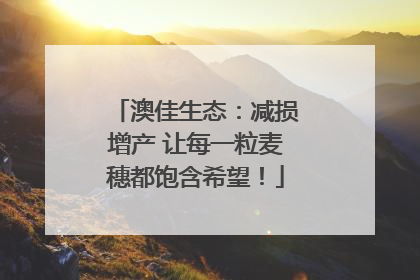 澳佳生态：减损增产 让每一粒麦穗都饱含希望！