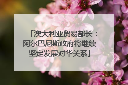 澳大利亚贸易部长：阿尔巴尼斯政府将继续坚定发展对华关系