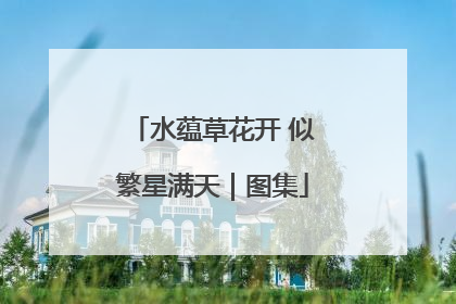 水蕴草花开 似繁星满天｜图集