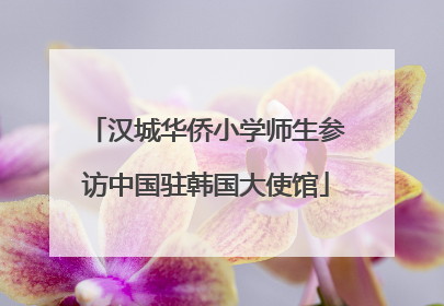 汉城华侨小学师生参访中国驻韩国大使馆