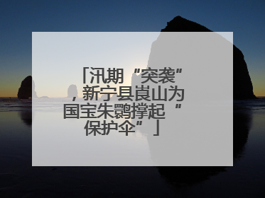 汛期“突袭”，新宁县崀山为国宝朱鹮撑起“保护伞”