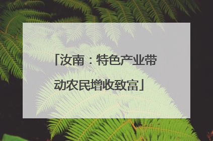 汝南：特色产业带动农民增收致富
