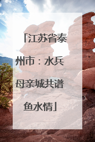 江苏省泰州市：水兵母亲城共谱鱼水情