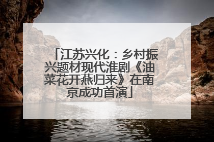 江苏兴化：乡村振兴题材现代淮剧《油菜花开燕归来》在南京成功首演