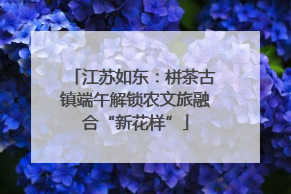 江苏如东：栟茶古镇端午解锁农文旅融合“新花样”