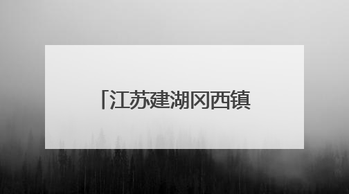 江苏建湖冈西镇肖荡村“小积分”兑出“大文明”