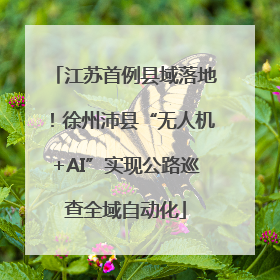 江苏首例县域落地！徐州沛县“无人机+AI”实现公路巡查全域自动化
