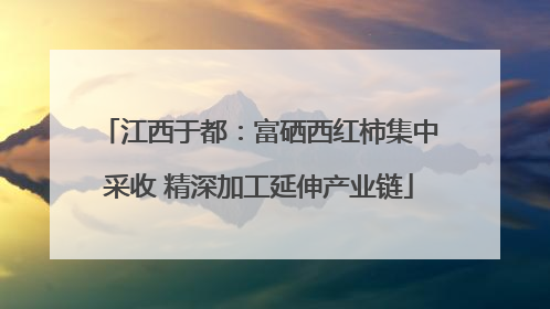 江西于都：富硒西红柿集中采收 精深加工延伸产业链