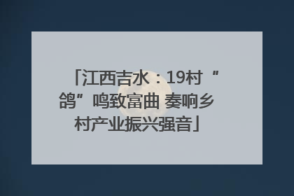 江西吉水：19村“鸽”鸣致富曲 奏响乡村产业振兴强音