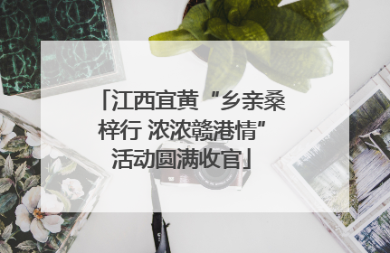 江西宜黄“乡亲桑梓行 浓浓赣港情”活动圆满收官