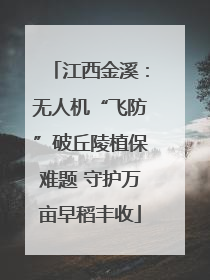 江西金溪：无人机“飞防”破丘陵植保难题 守护万亩早稻丰收