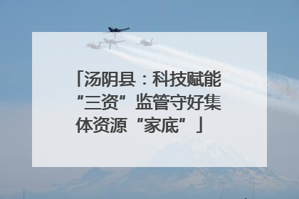 汤阴县：科技赋能“三资”监管守好集体资源“家底”