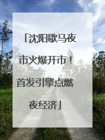 沈阳歇马夜市火爆开市！首发引擎点燃夜经济