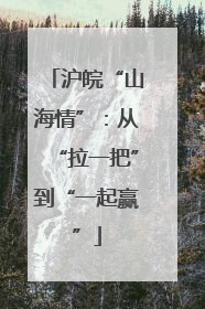 沪皖“山海情”：从“拉一把”到“一起赢”