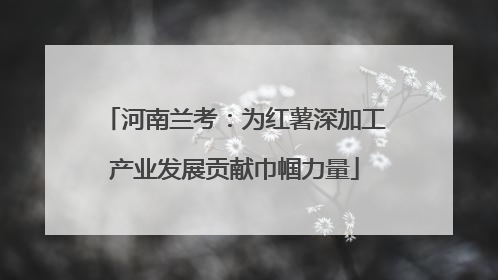 河南兰考：为红薯深加工产业发展贡献巾帼力量