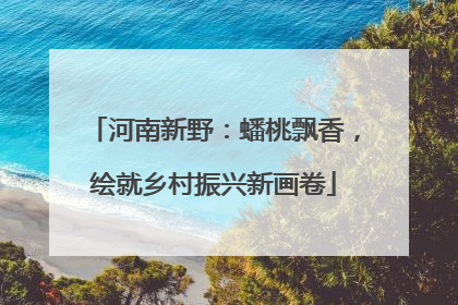 河南新野：蟠桃飘香，绘就乡村振兴新画卷