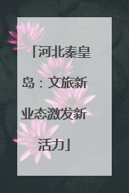 河北秦皇岛：文旅新业态激发新活力