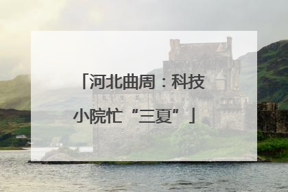 河北曲周：科技小院忙“三夏”