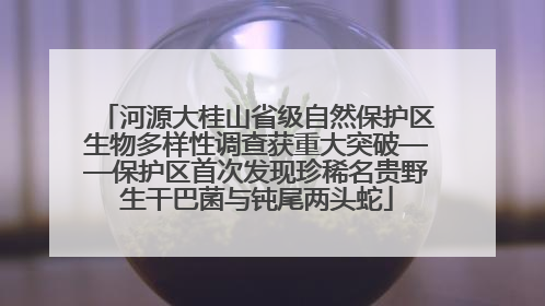 河源大桂山省级自然保护区生物多样性调查获重大突破——保护区首次发现珍稀名贵野生干巴菌与钝尾两头蛇