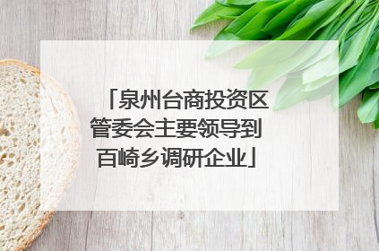 泉州台商投资区管委会主要领导到百崎乡调研企业