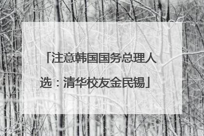 注意韩国国务总理人选：清华校友金民锡