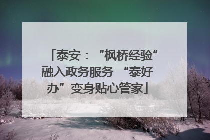 泰安：“枫桥经验”融入政务服务 “泰好办”变身贴心管家