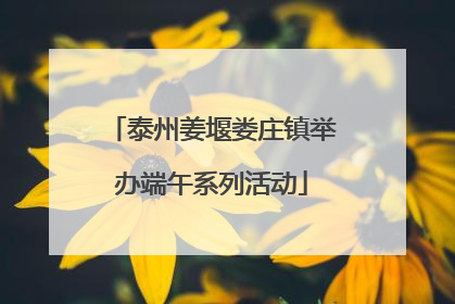 泰州姜堰娄庄镇举办端午系列活动