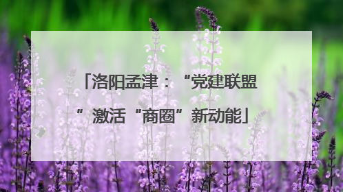 洛阳孟津：“党建联盟”激活“商圈”新动能