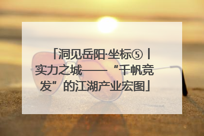 洞见岳阳·坐标⑤丨实力之城——“千帆竞发”的江湖产业宏图