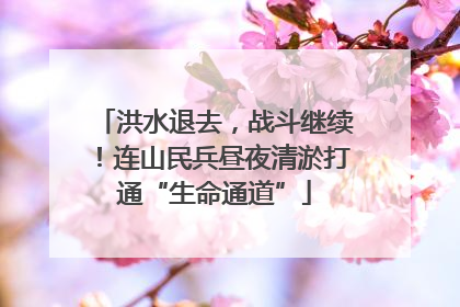 洪水退去，战斗继续！连山民兵昼夜清淤打通“生命通道”