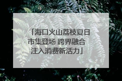海口火山荔枝夏日市集登场 跨界融合注入消费新活力