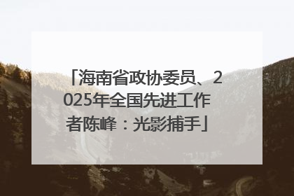 海南省政协委员、2025年全国先进工作者陈峰：光影捕手
