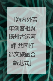 海内外青年创客相聚扬州古运河畔 共同打造文旅融合新范式