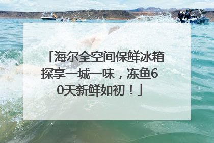 海尔全空间保鲜冰箱探享一城一味，冻鱼60天新鲜如初！