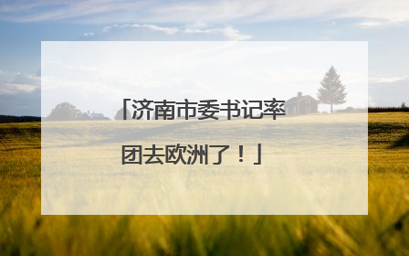 济南市委书记率团去欧洲了！