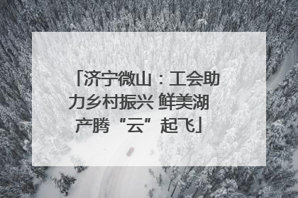 济宁微山：工会助力乡村振兴 鲜美湖产腾“云”起飞
