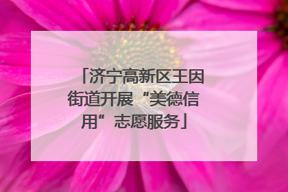 济宁高新区王因街道开展“美德信用”志愿服务